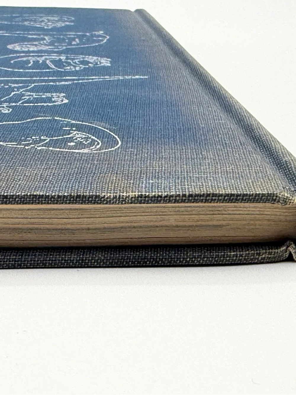 The Otter's Tale by Gavin Maxwell (Hardcover Book, 1962) First Edition